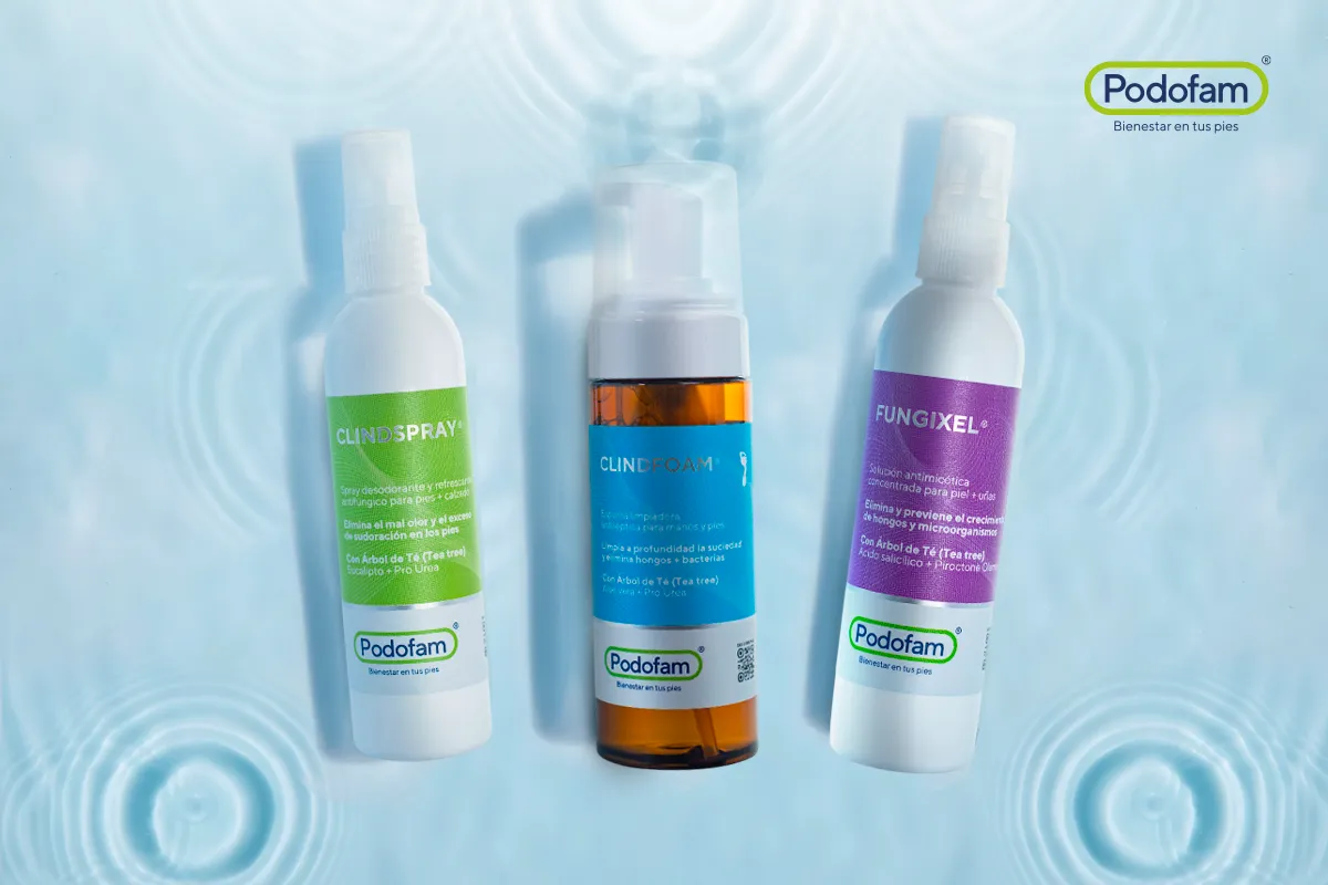 Descripción de la imagen panorámica