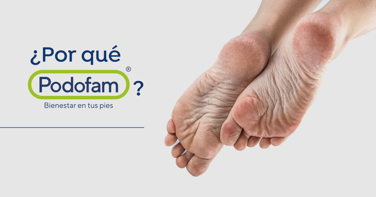 Descripción de la imagen panorámica